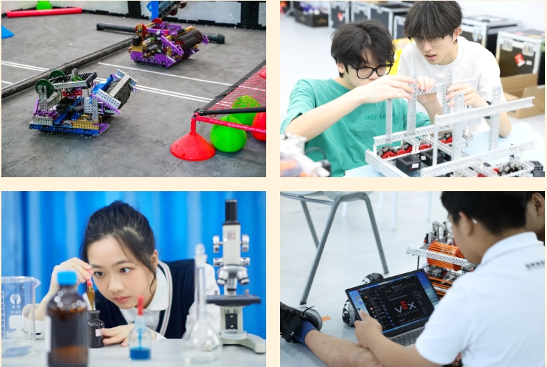 瑞得福国际学校 RDFIS